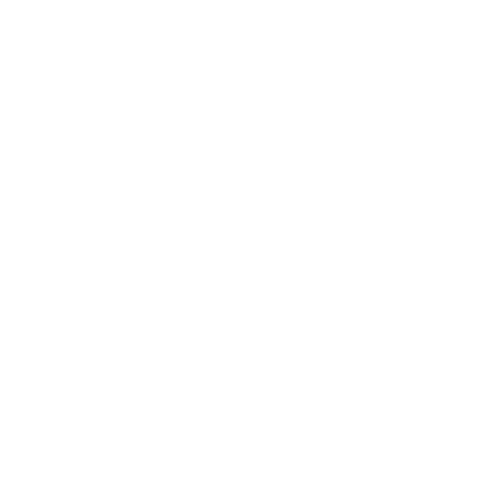 Loja Vntrainer